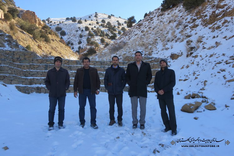 بازدید از پروژه های عمرانی حوزه منابع طبیعی و آبخیزداری استان