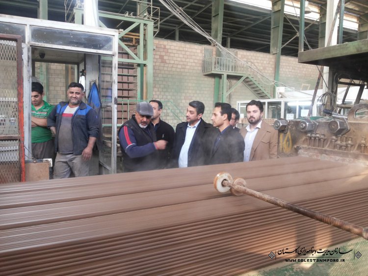 بازدید از کارخانجات تولیدی بلوکهای سفالی و ایتال در استان